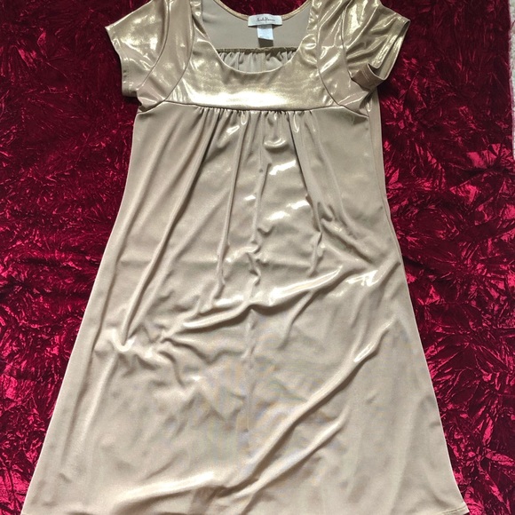 Sushiflower Gold Metallic Short Sleeve Slip Dress - Picture 12 of 14